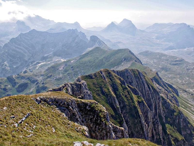 sudoku export puzzle screenshot 4